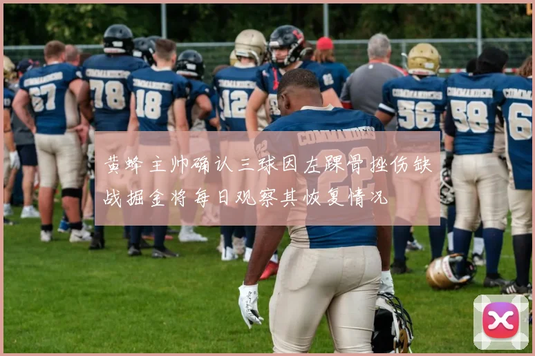 黄蜂主帅确认三球因左踝骨挫伤缺战掘金将每日观察其恢复情况