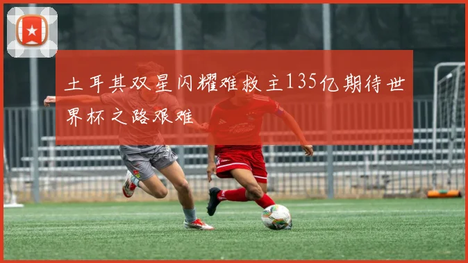 土耳其双星闪耀难救主135亿期待世界杯之路艰难