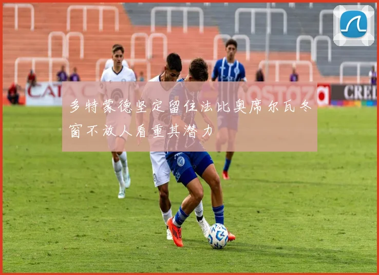 多特蒙德坚定留住法比奥席尔瓦冬窗不放人看重其潜力
